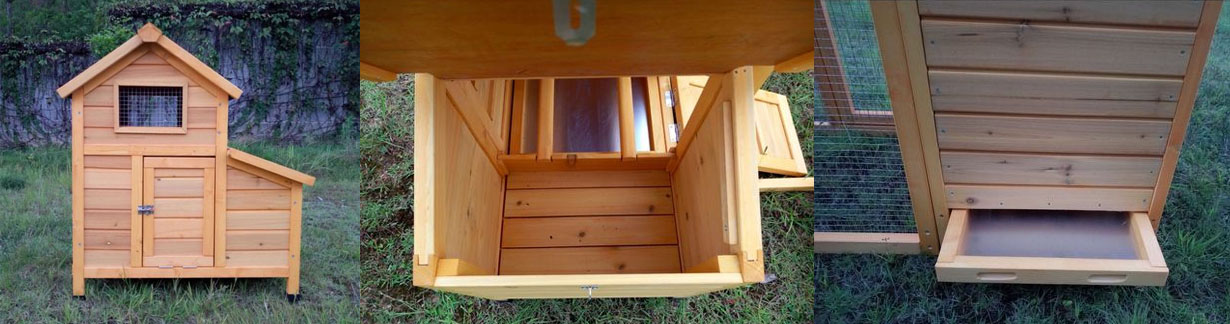 >Poulailler Bantam L